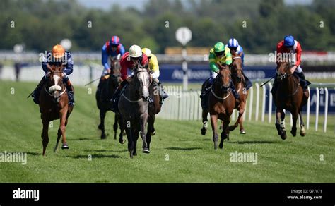 Horse Racing At Newbury Racecourse UK .